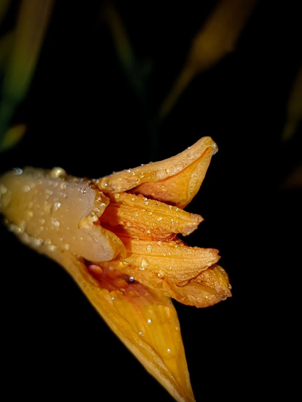 20220708_235130.jpg