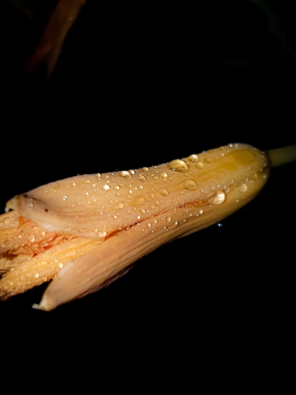 20220708_235005.jpg