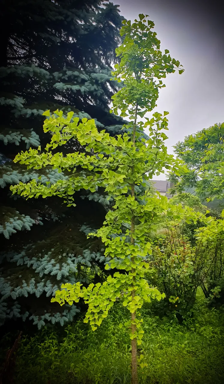 20230618_090247.jpg