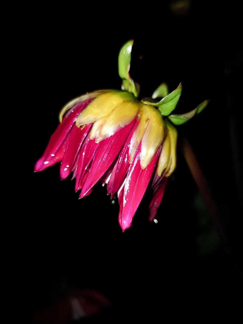 20220708_233142.jpg