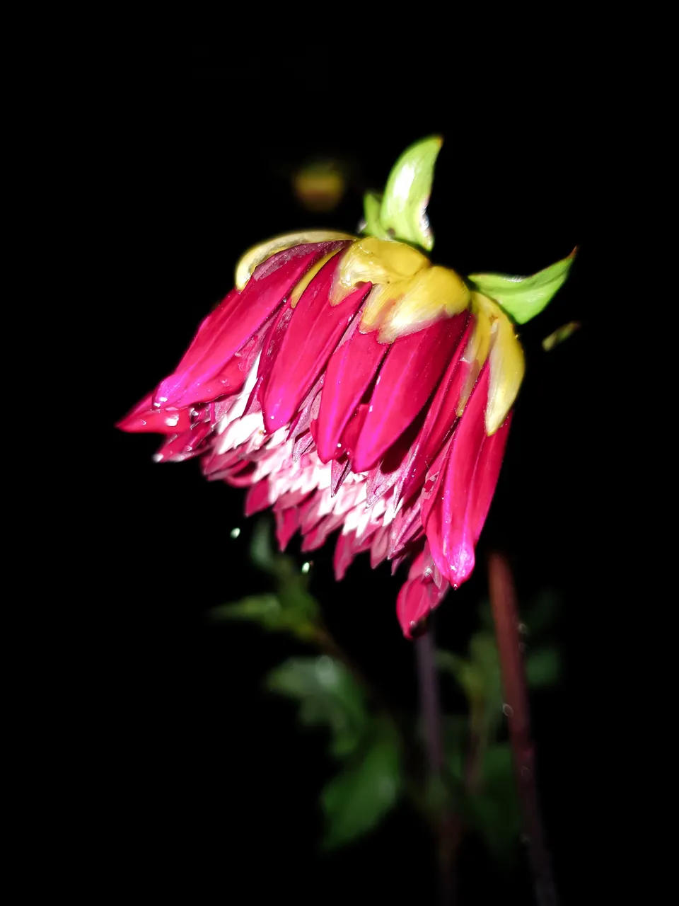 20220708_233148.jpg