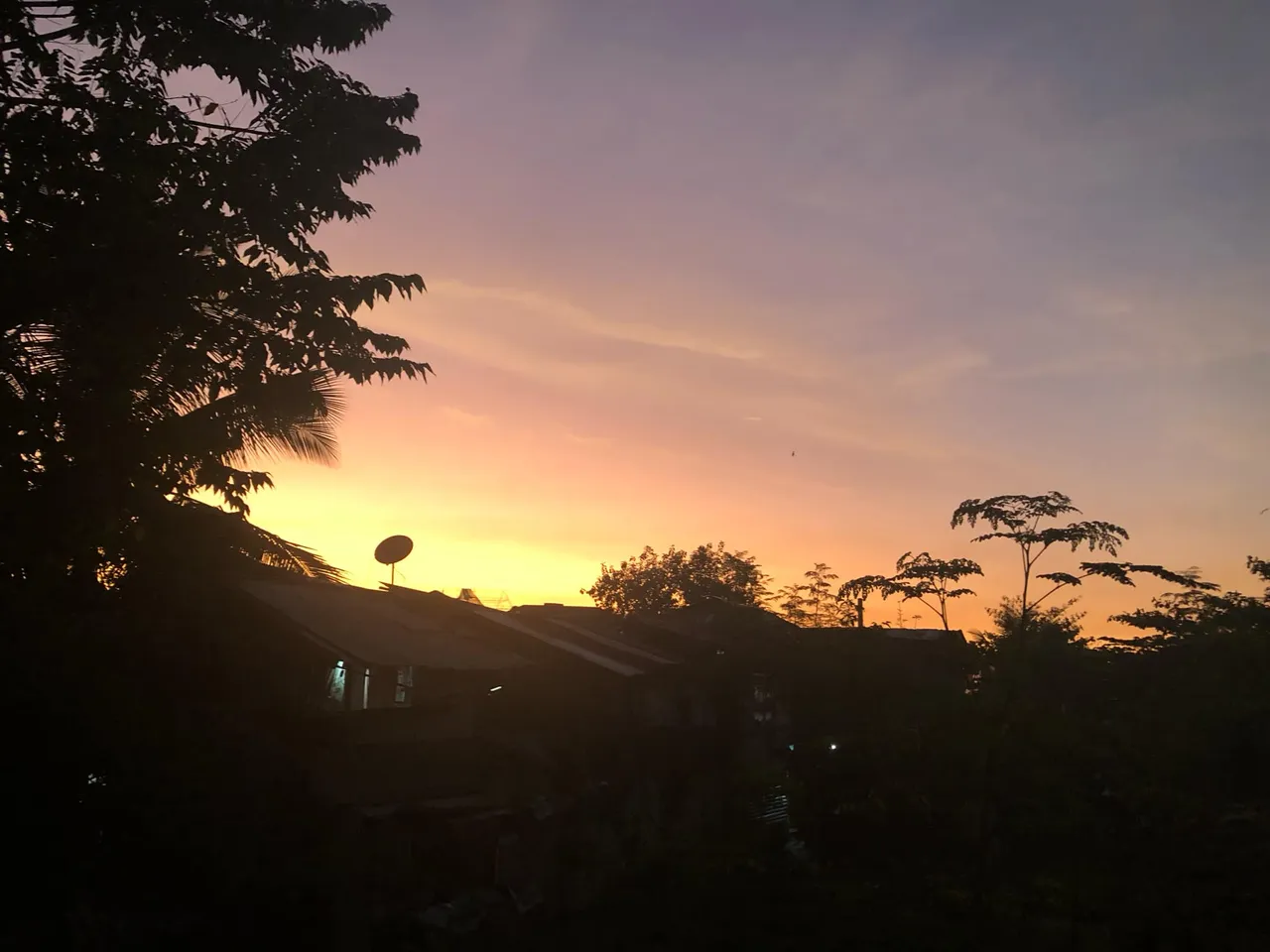 b76a71c3-b040-488a-9153-8521321ebb66.jpg