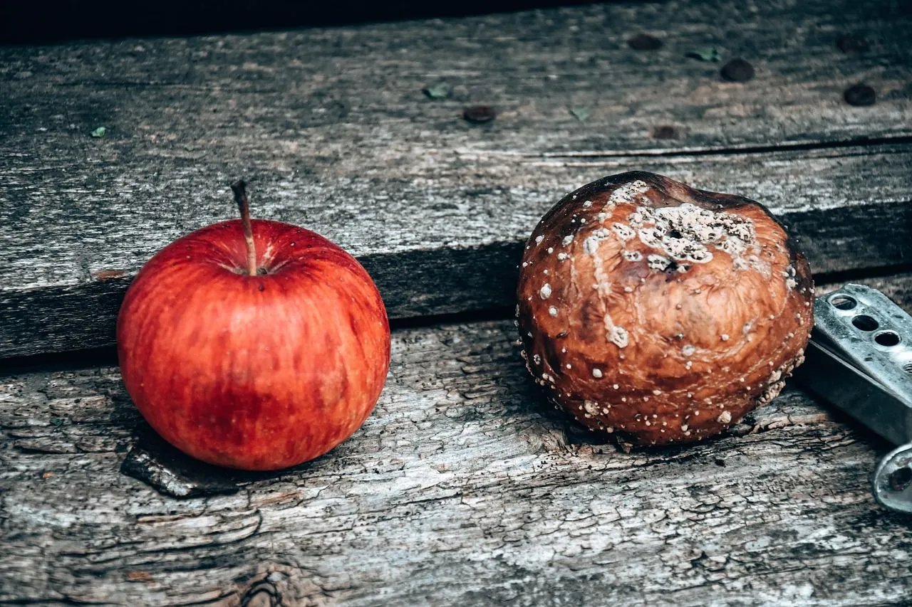 apples-6694486_1280.jpg