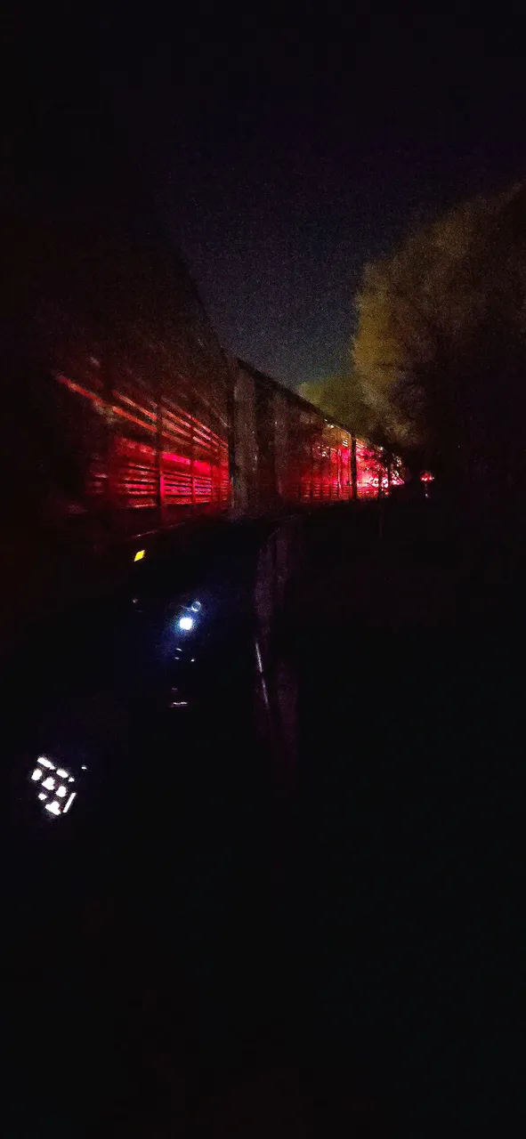 20250510_003041.jpg
