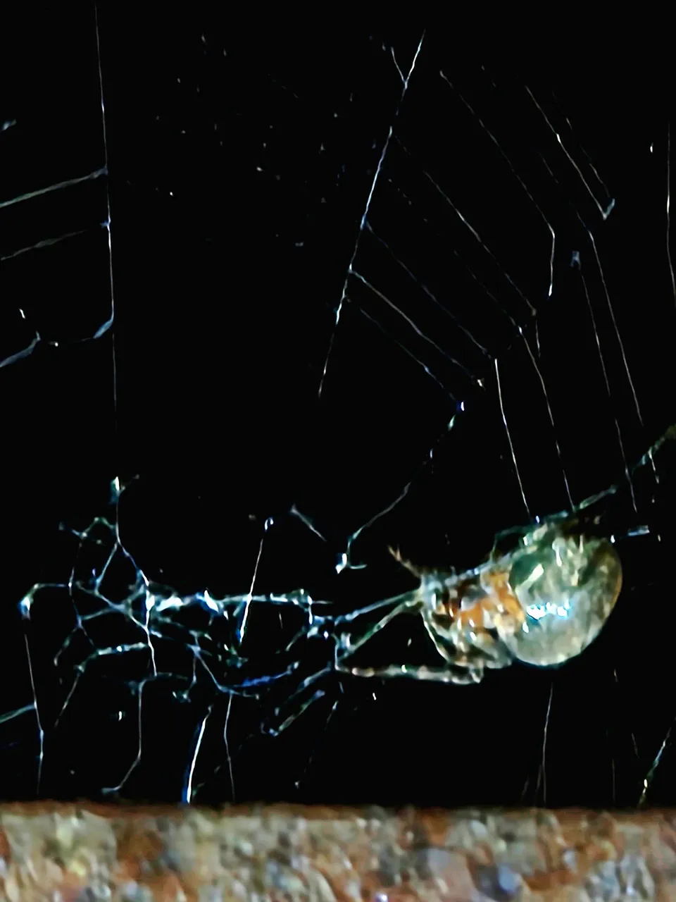 20250530_021436.jpg