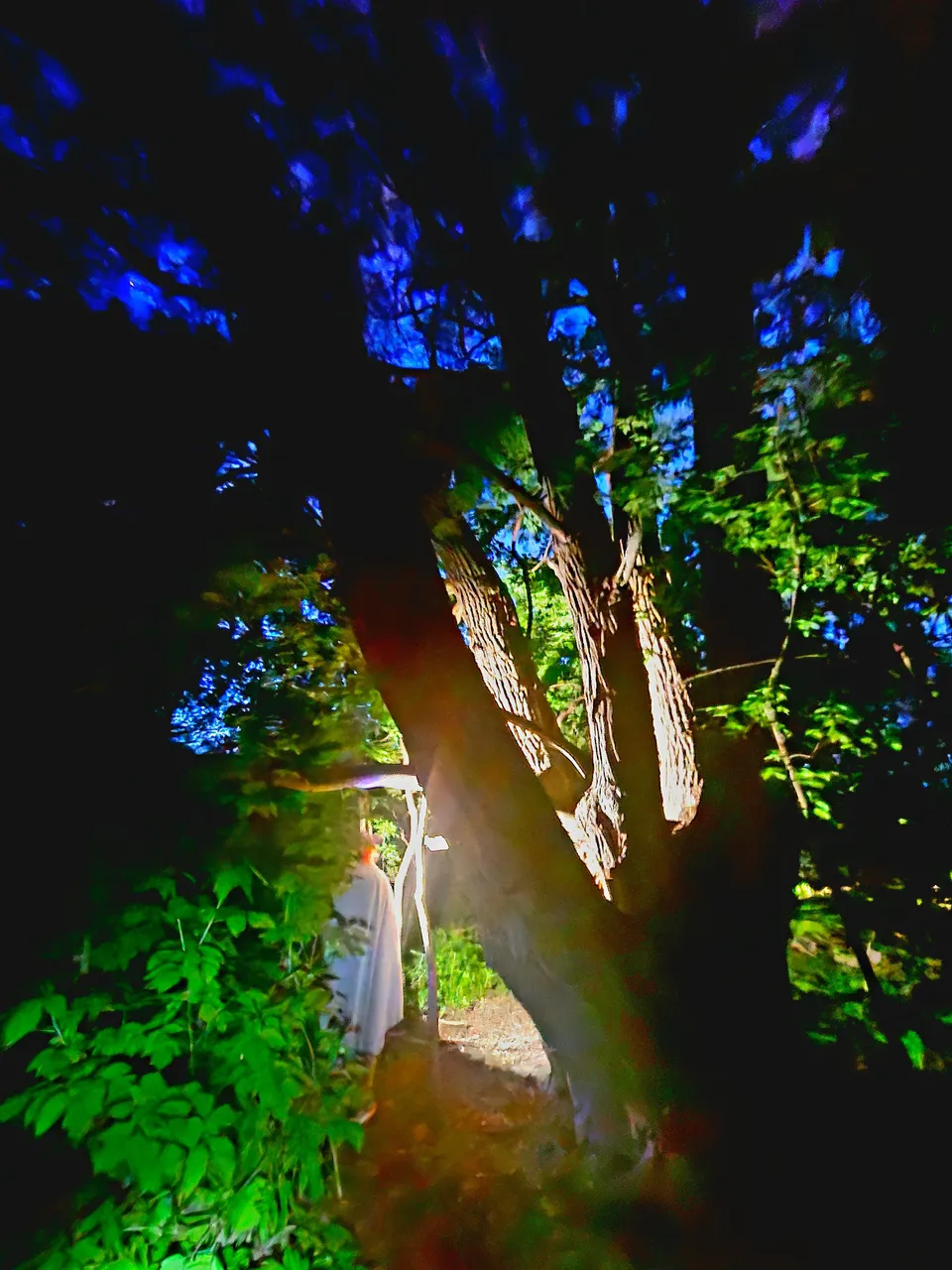 20250519_214946.jpg