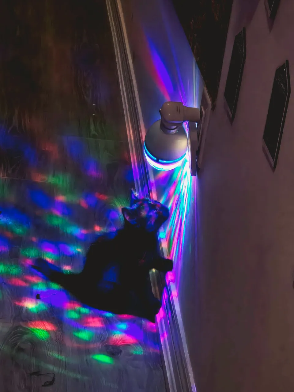 20250618_151433.jpg