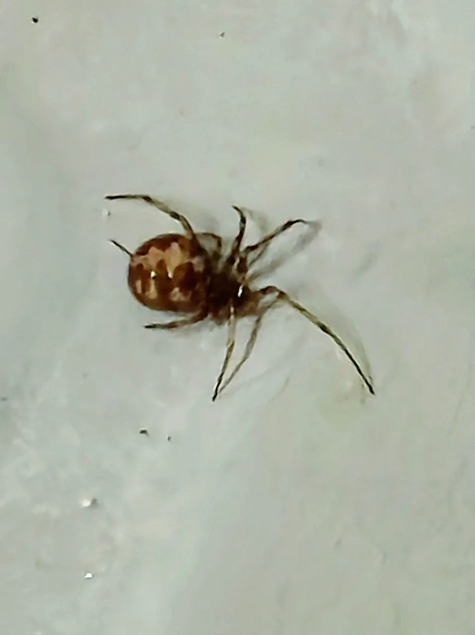 20250429_035618.jpg