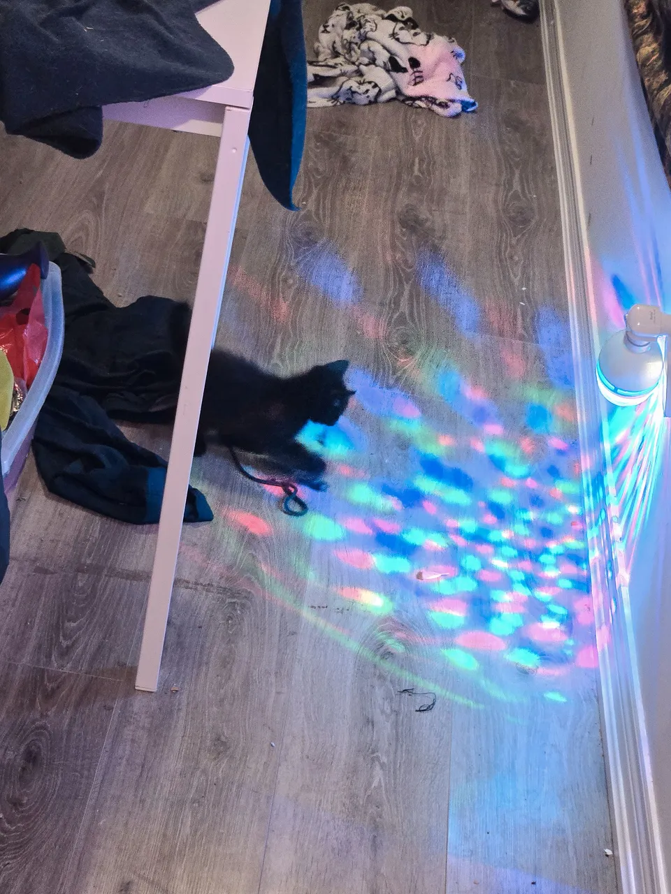20250618_151412.jpg