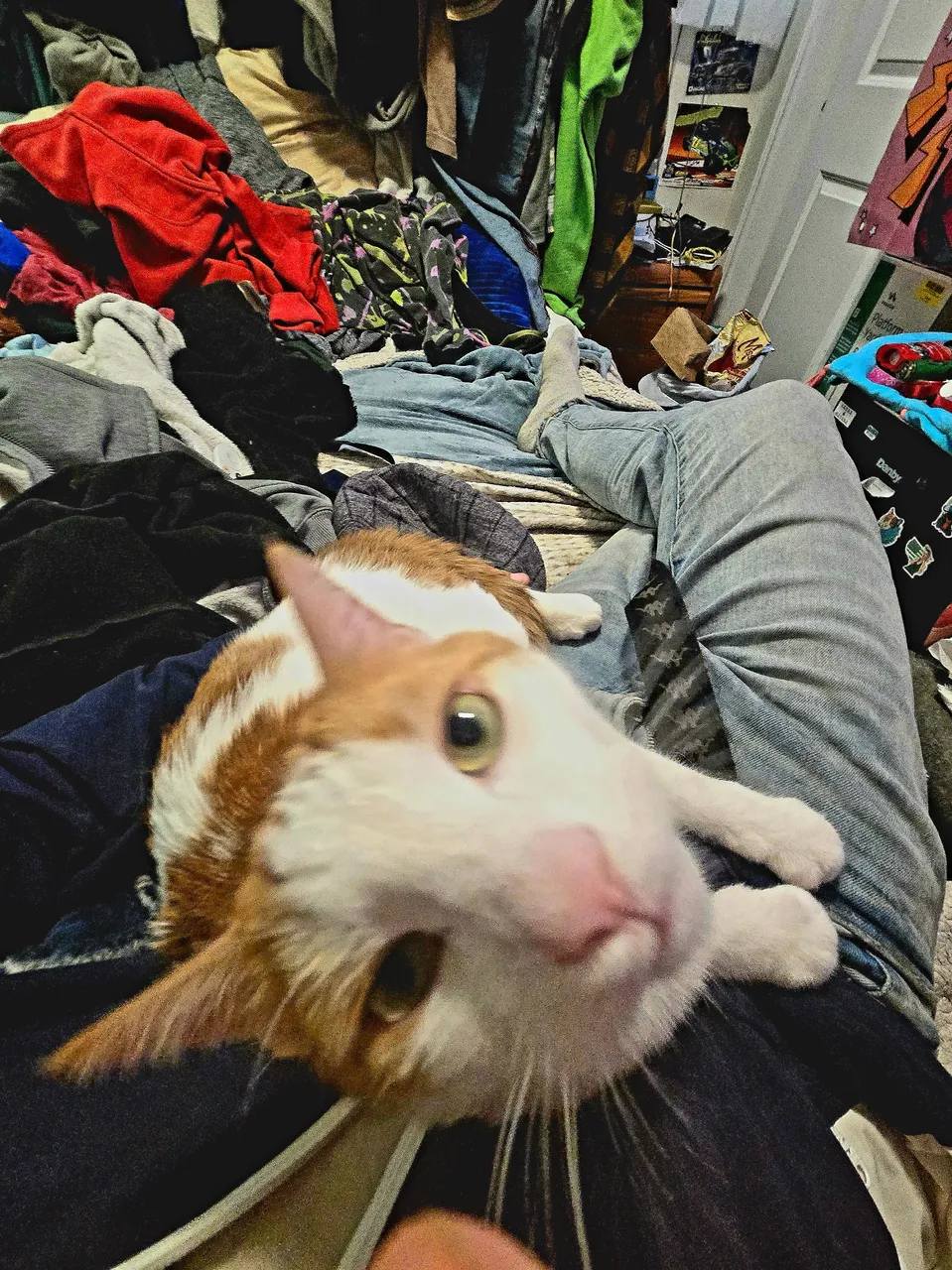 20250528_163624.jpg