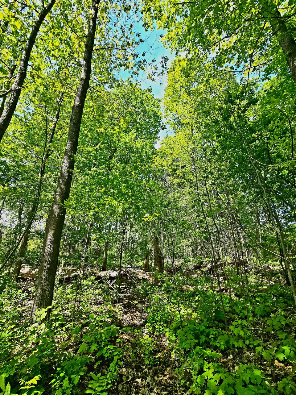 20250520_120333.jpg