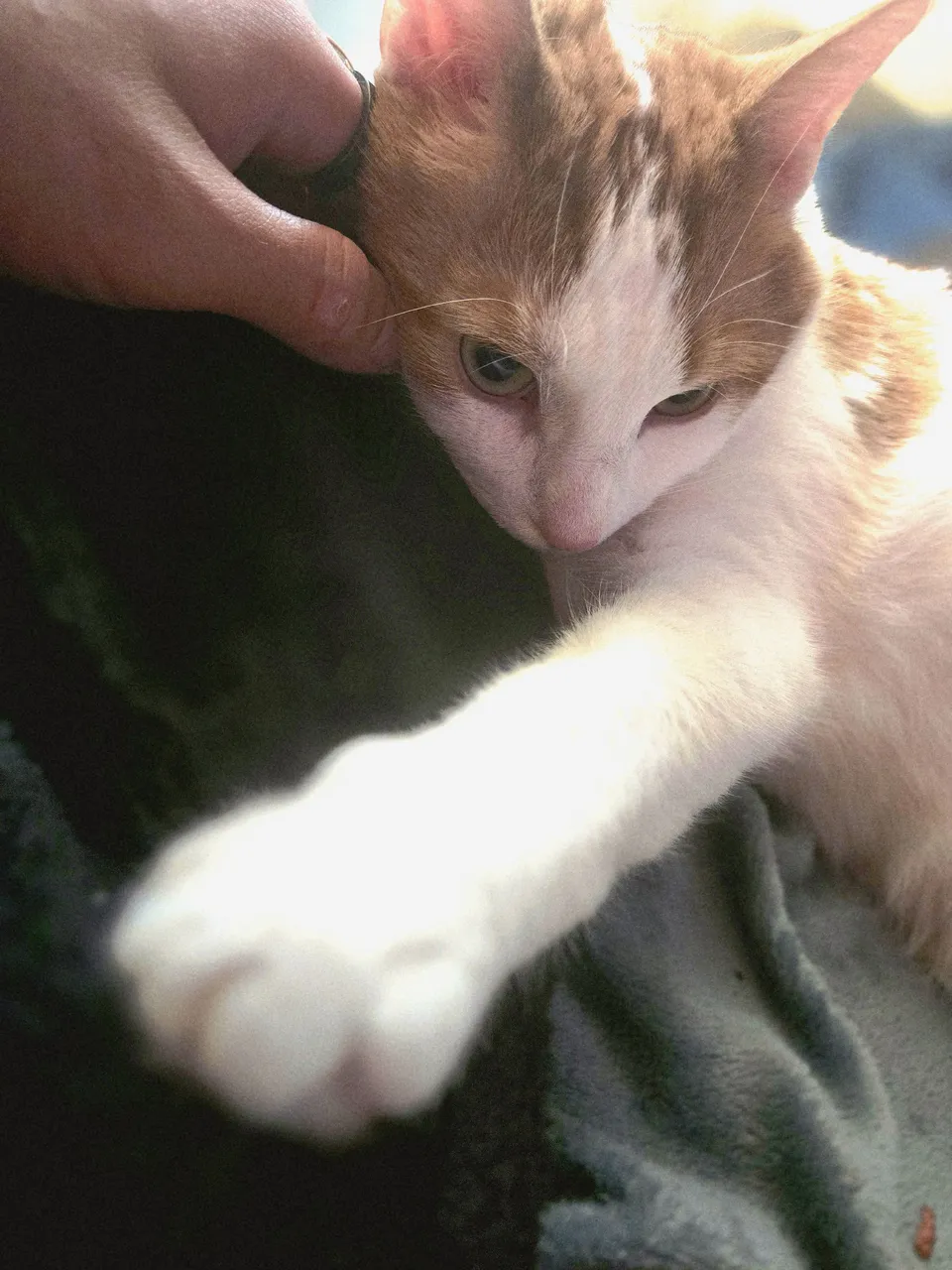 20250531_151549.jpg