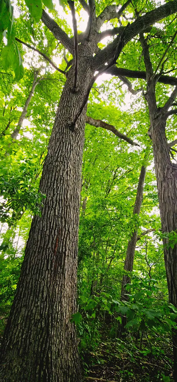 20250625_144457.jpg
