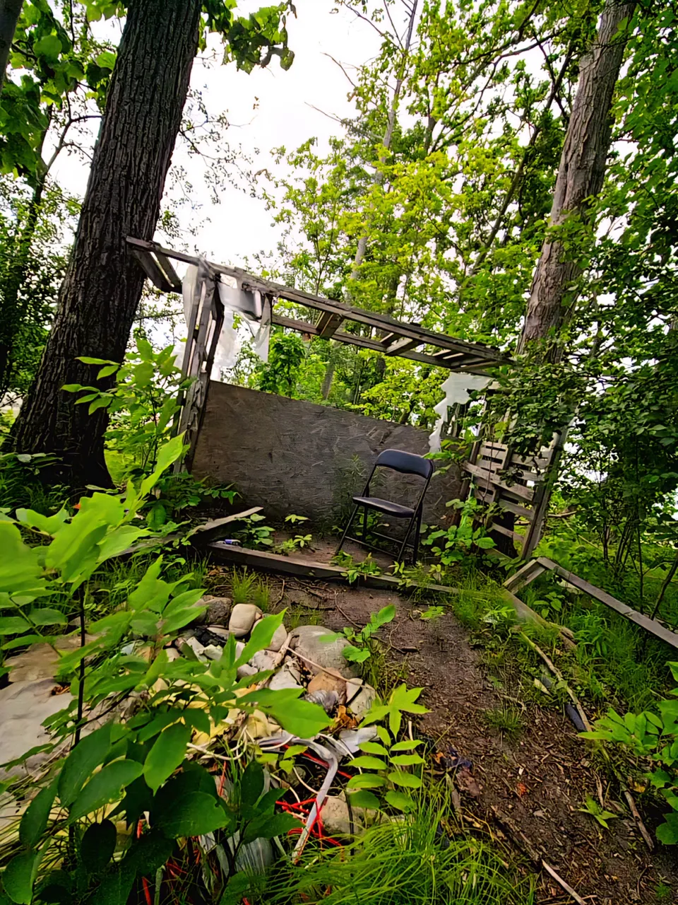20250625_145045(1).jpg