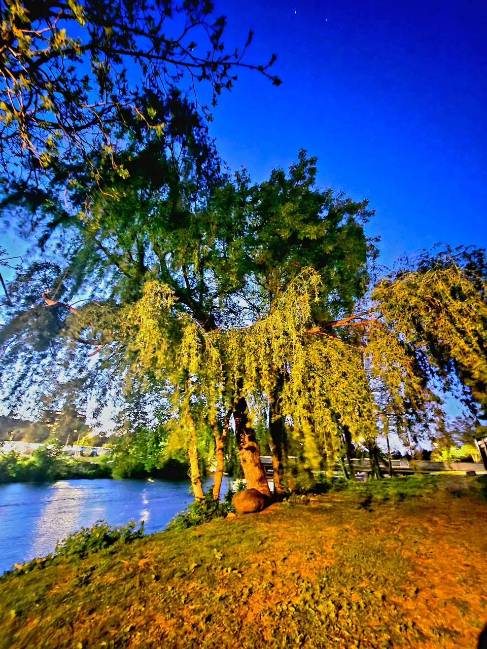 20250519_213214.jpg