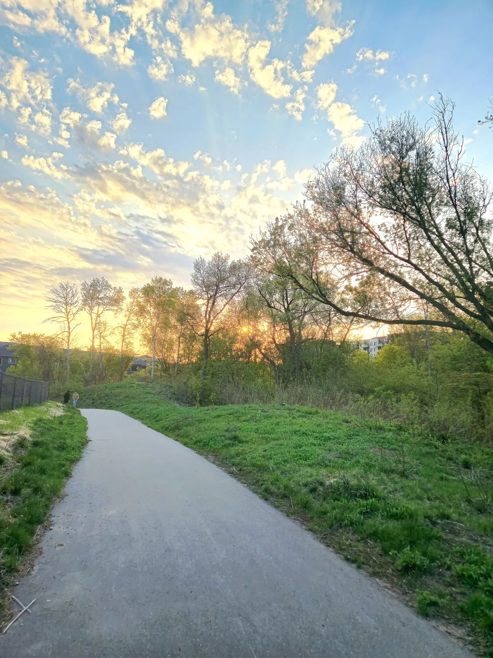 20250510_195529.jpg