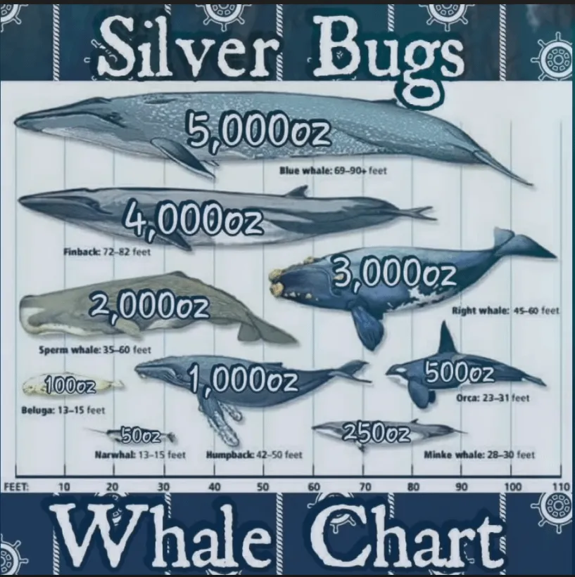 eyxbuh5ivvn61 (1).png