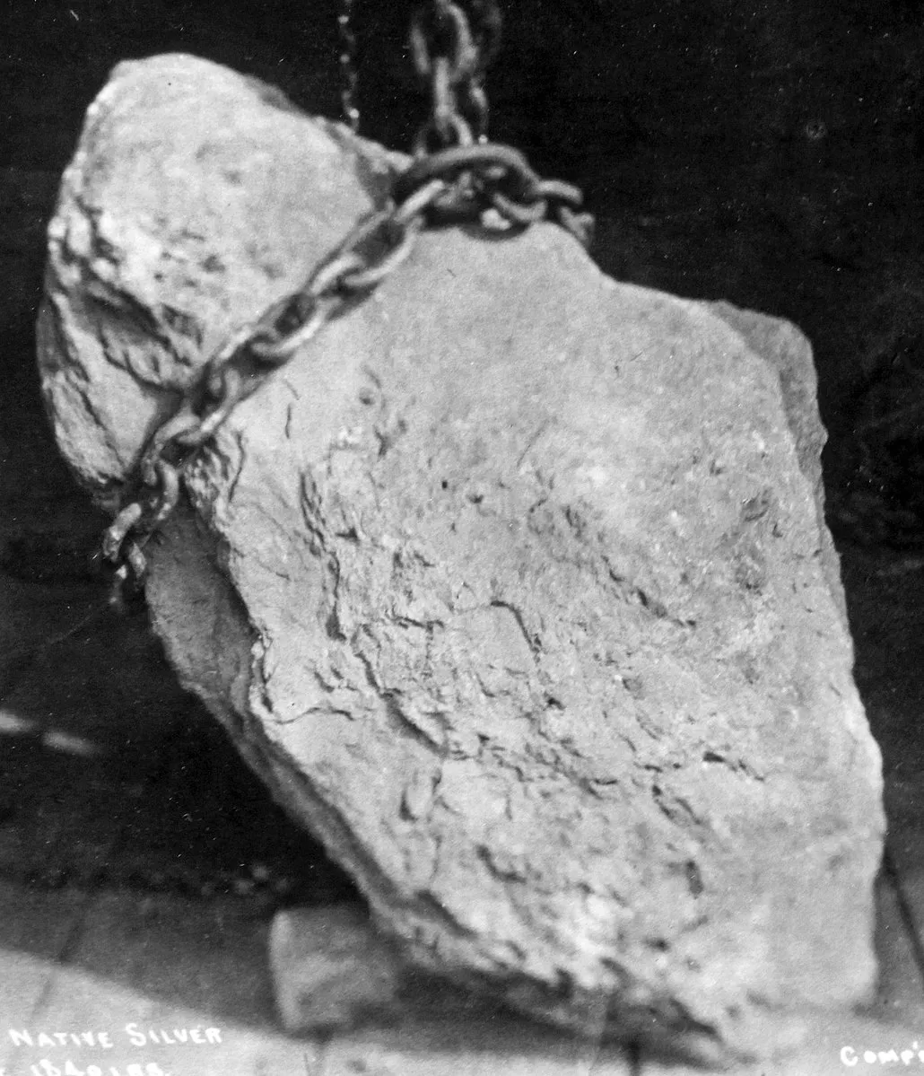 Native_silver_(Smuggler_Mine,_Aspen_Mining_District,_Colorado,_USA)_1_(17283935251).jpg
