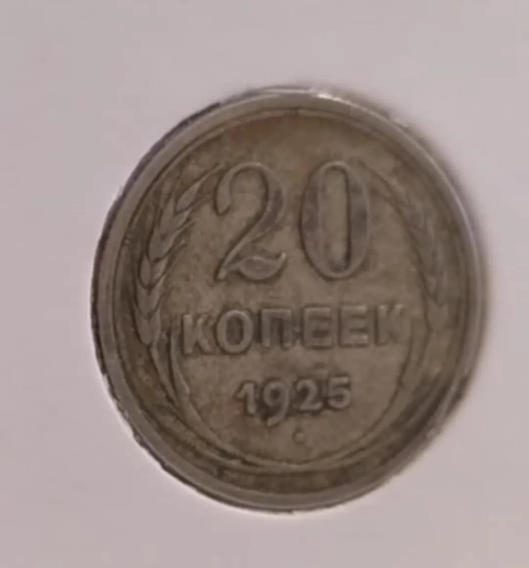 1000007284.jpg