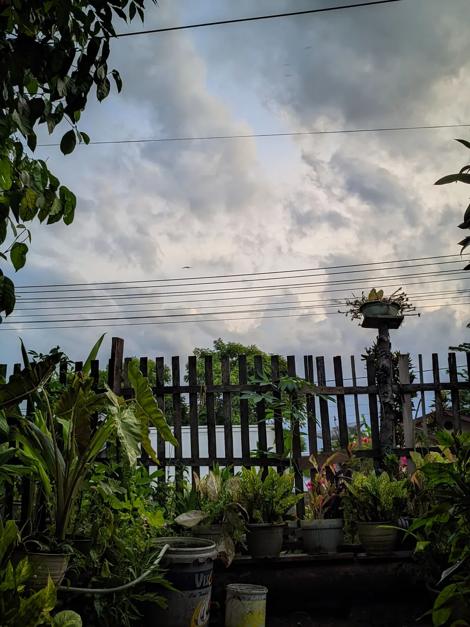 1000010525.jpg
