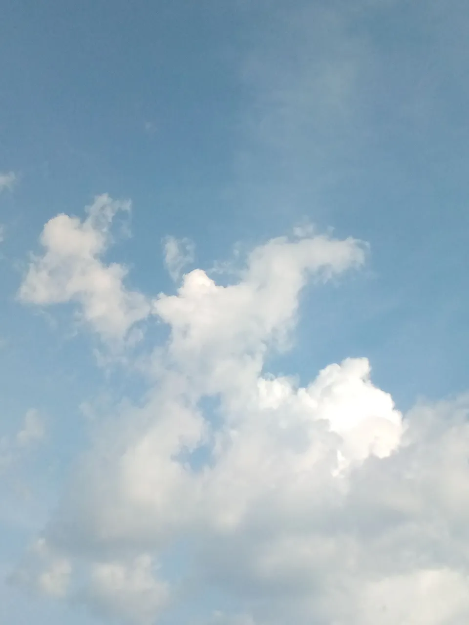 IMG_20221110_165655_718.jpg