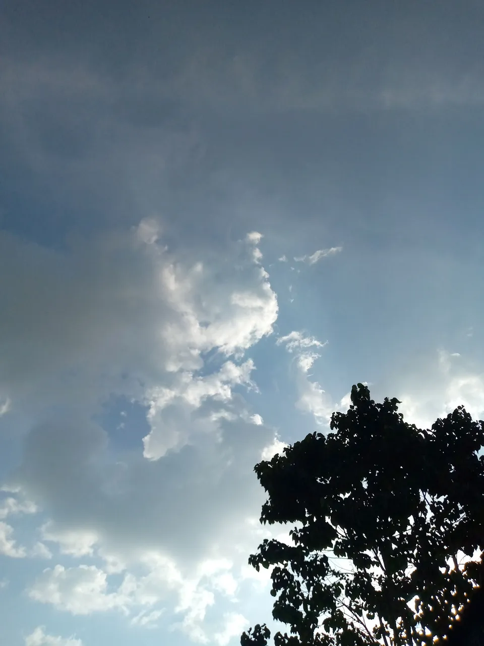 IMG_20221110_163416_107.jpg