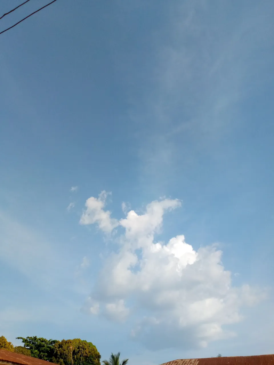 IMG_20221110_165701_815.jpg