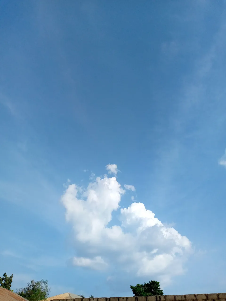 IMG_20221110_165414_867.jpg