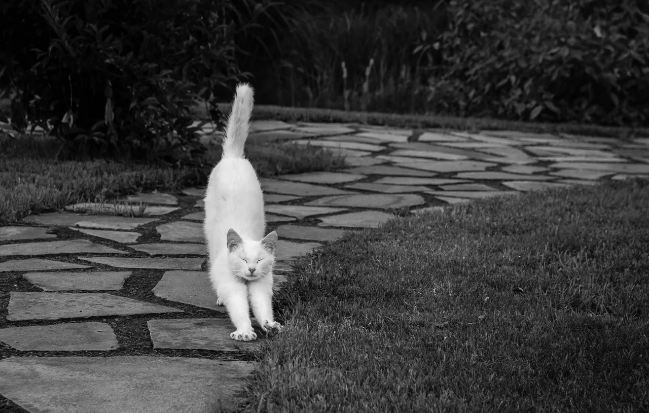 DSC_7126.jpg