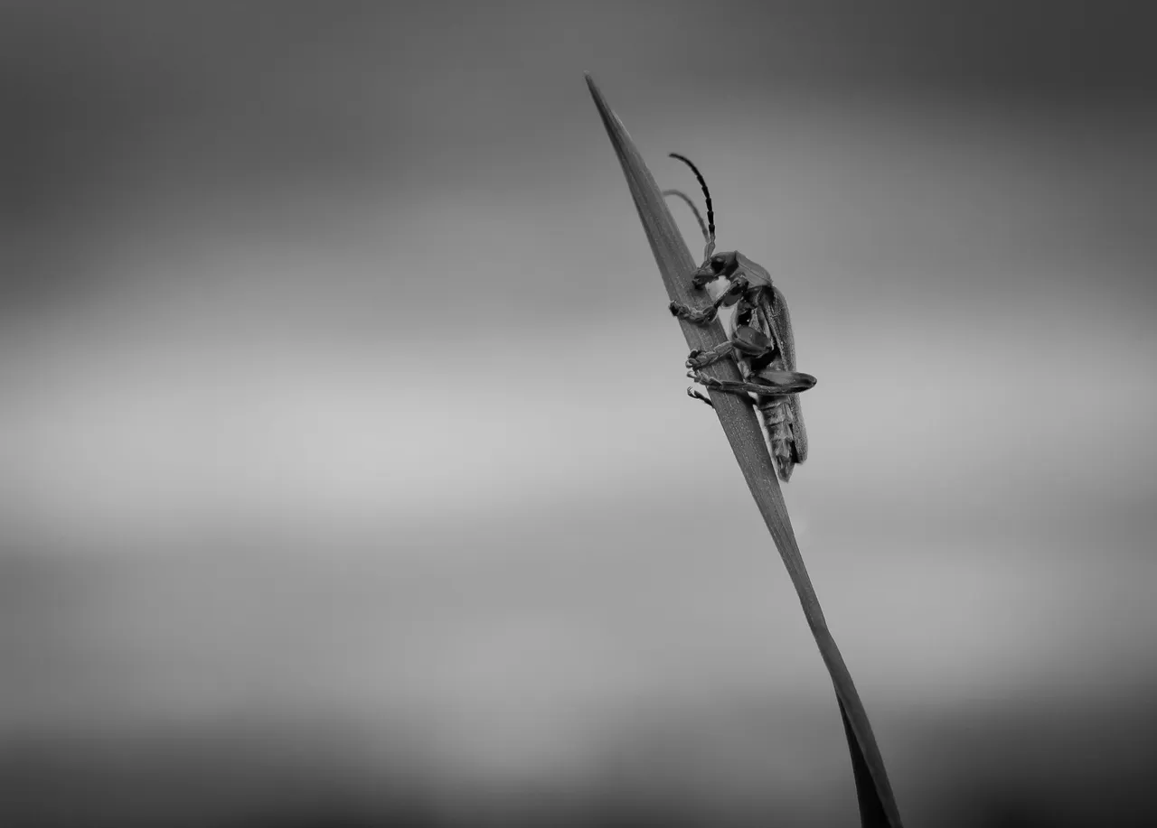 DSC_6142.jpg