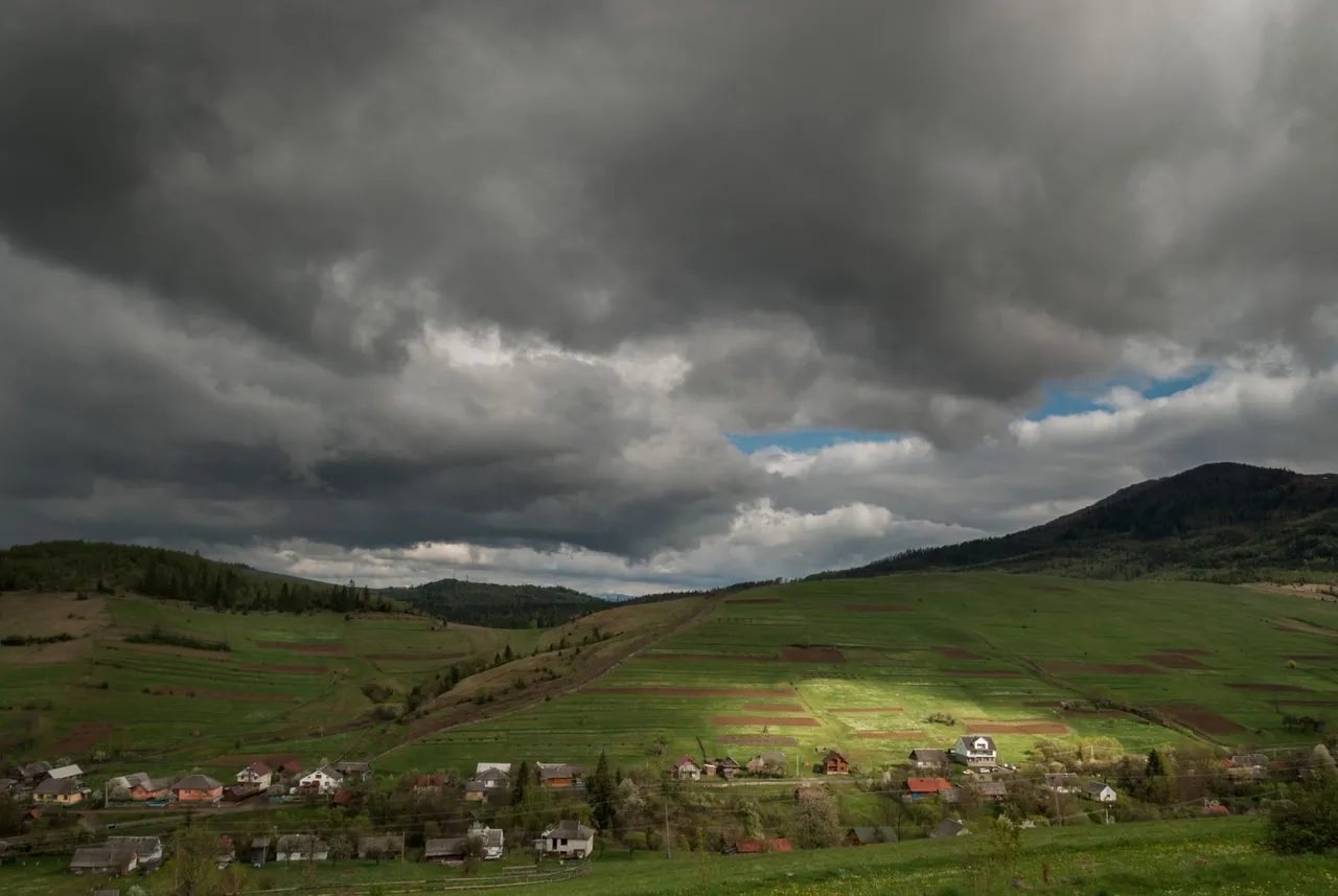 DSC_6316-2.jpg