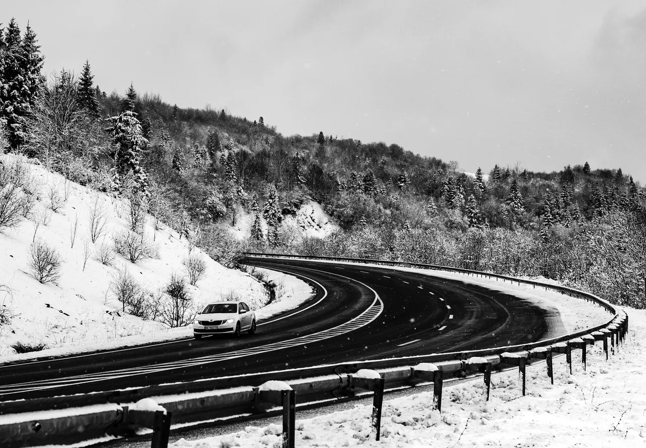 DSC_6191.jpg