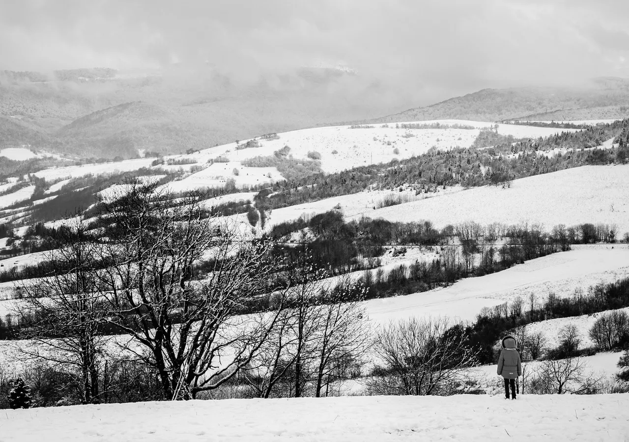 DSC_6116.jpg