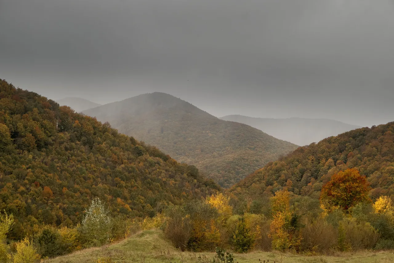 DSC_8265.jpg