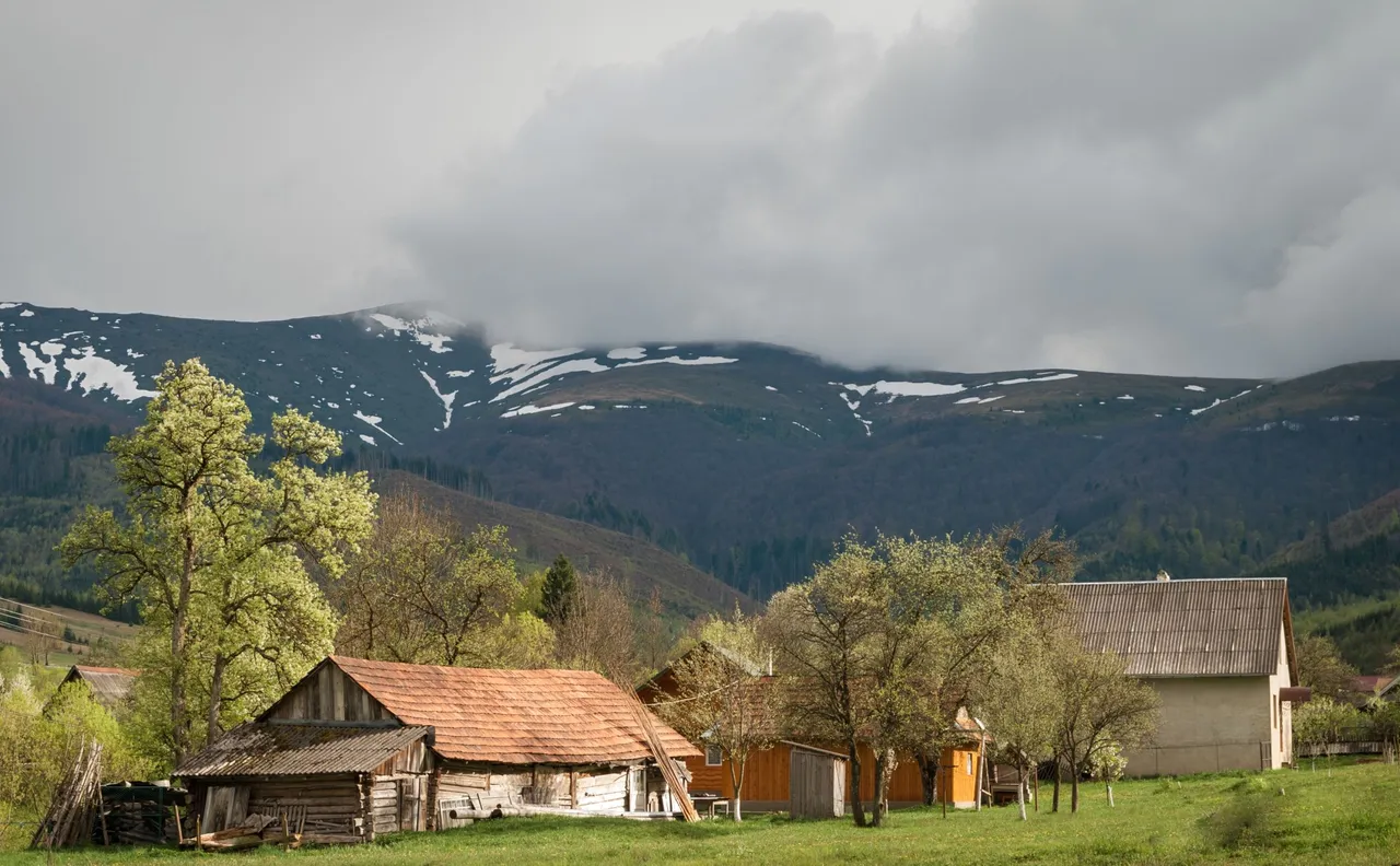 DSC_6434.jpg