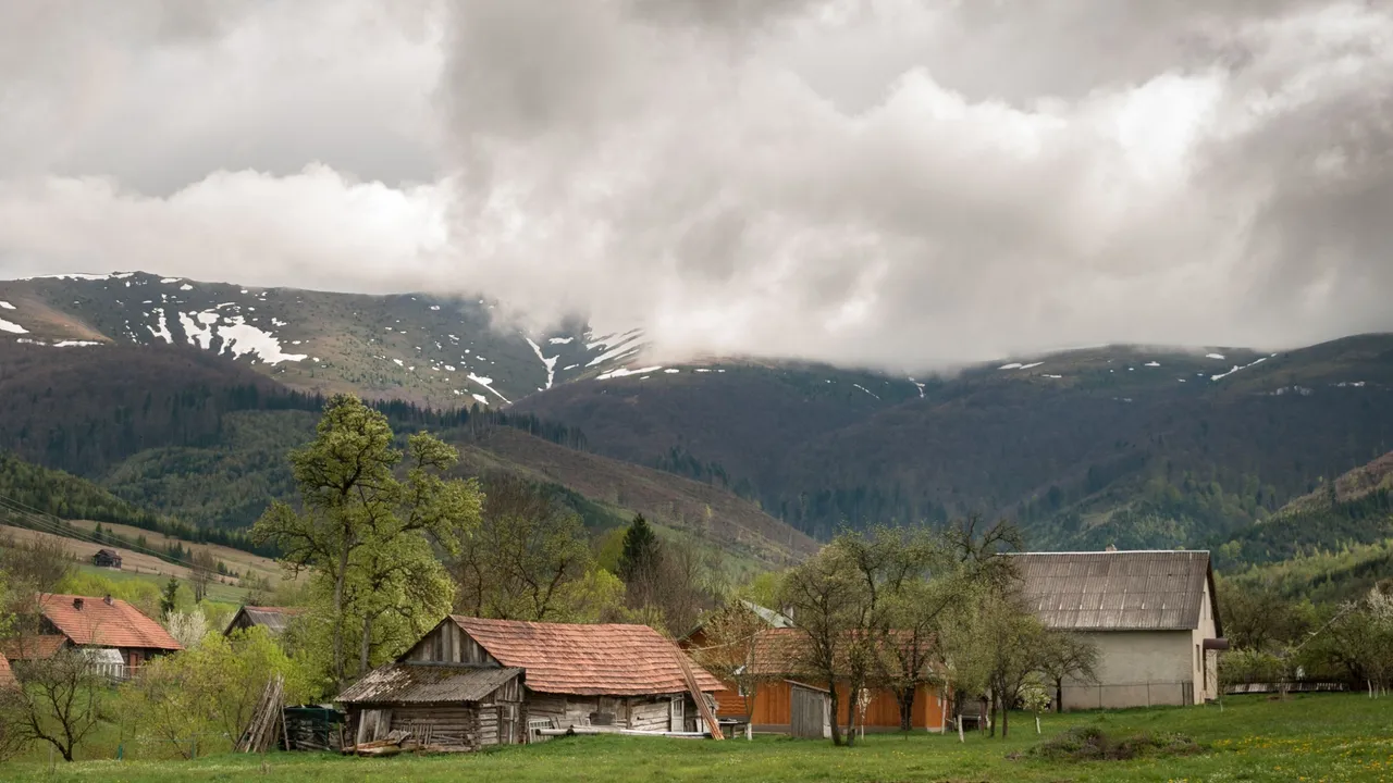 DSC_6289.jpg