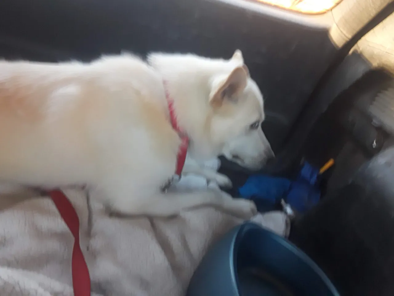 20220212_173029.jpg