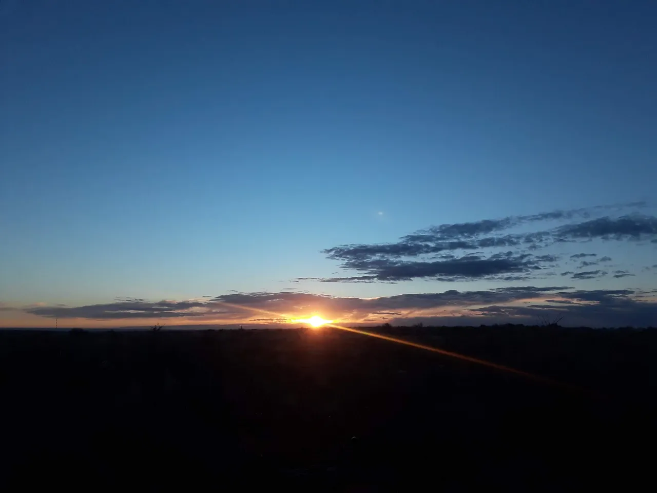 20220123_073056.jpg