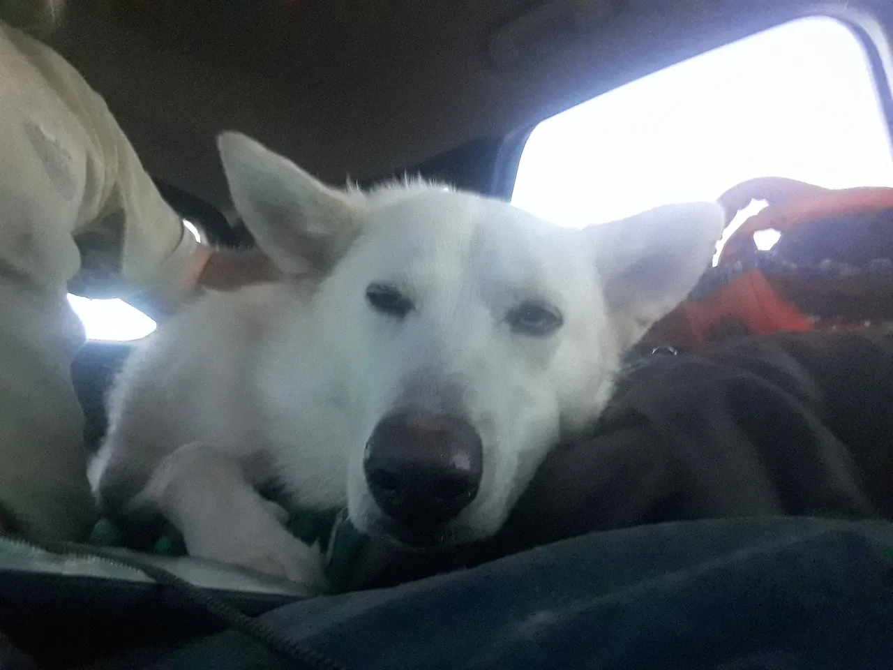 20220212_180600.jpg