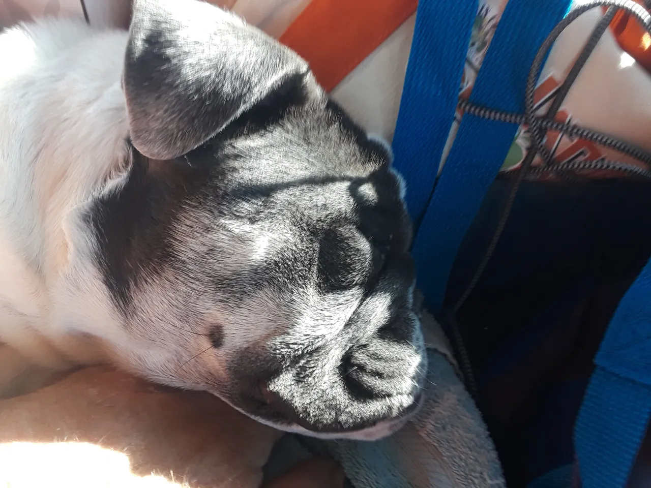 20220123_101545.jpg