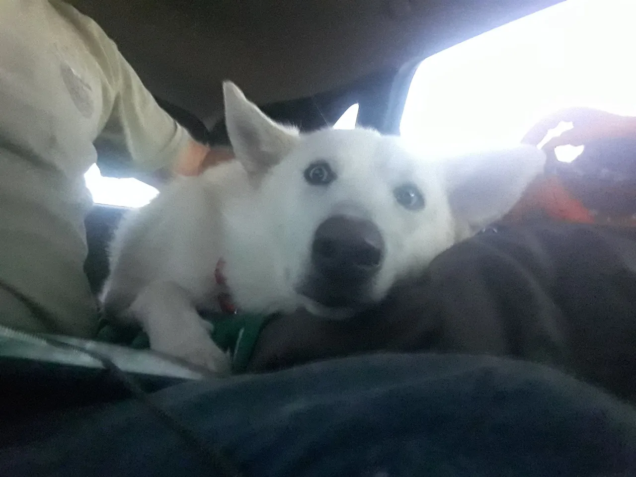 20220212_180643.jpg