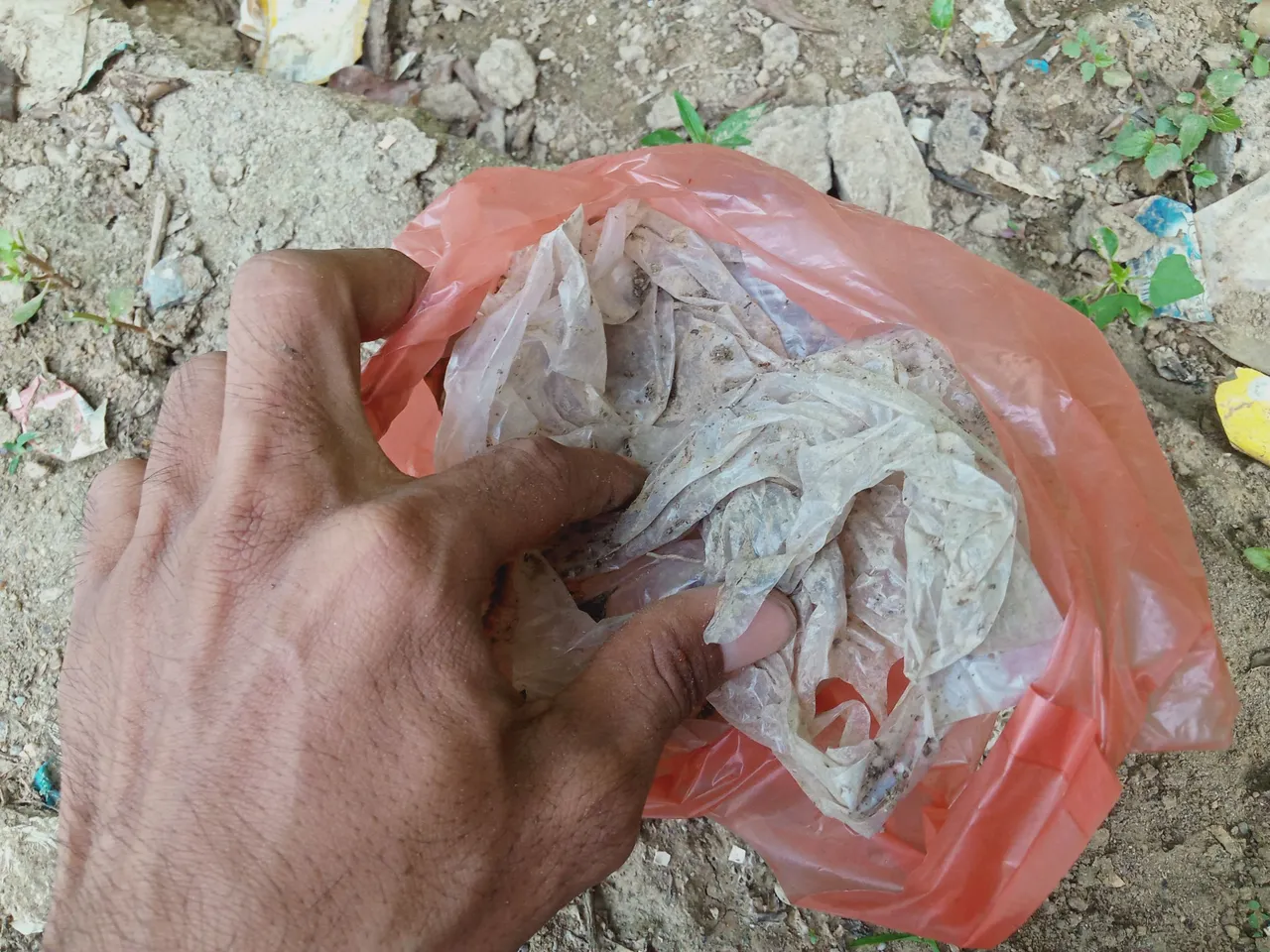 IMG20230427171319.jpg