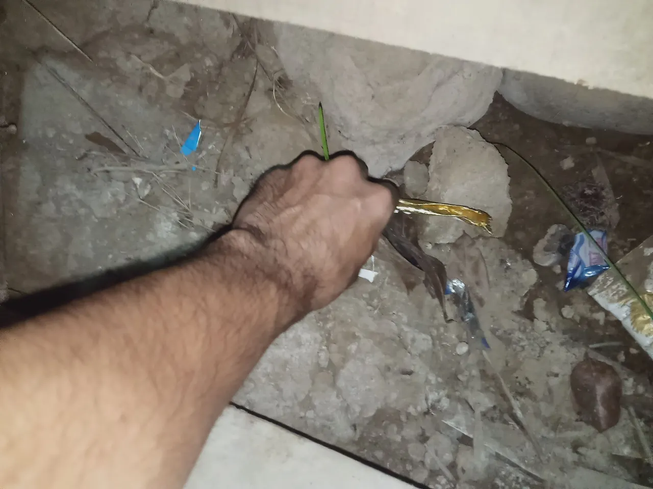 IMG20230420224903.jpg