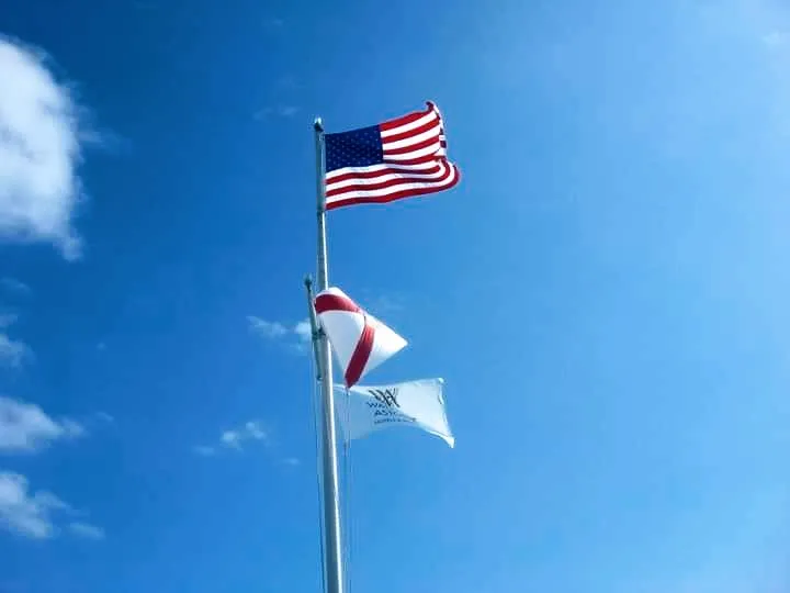 flags