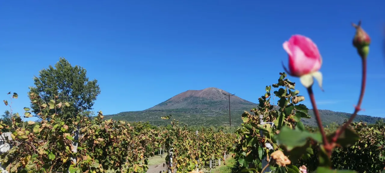 View of Vesuvius from one of the points of the city