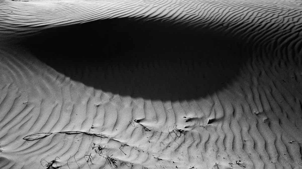 In_Dunes_2021_by_Victor_Bezrukov-7.jpg