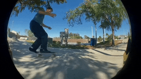 gif fs flip.gif
