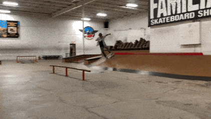 christian hosoi boardslide.gif