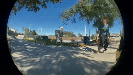 gif 360 flip.gif