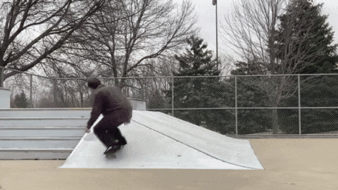 backside flip.gif